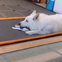 微笑ましい光景にほっこり