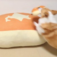 勢いよくジャンプ