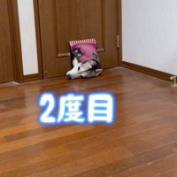 諦めず二度目の挑戦！！