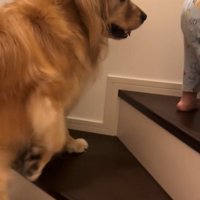 階段を登る男の子とラビーくん5