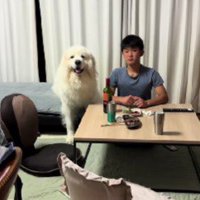 お説教される息子さんと…