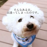 運命的な出会いを果たします