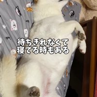 先に寝てしまうことも