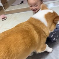 お姉ちゃんとこた君