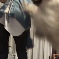 ママにアタックするシェリーちゃん