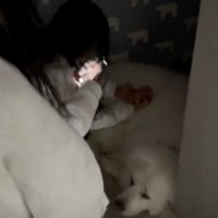 グラくん発見！