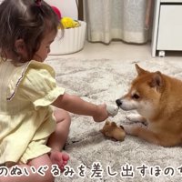「これと交換しよう」