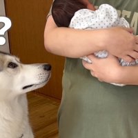 「どうしちゃったの？」