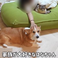 家族といるのが1番幸せ♡