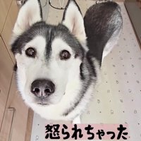 怒られてションボリ