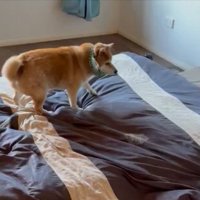 布団の上で