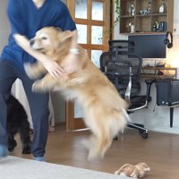 息子さんの登場に大喜び！