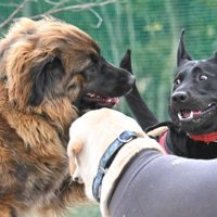 お友達もたくさんいるよ