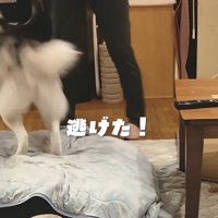 思わず逃亡するちのちゃん