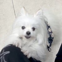 「もしかして注射…？」