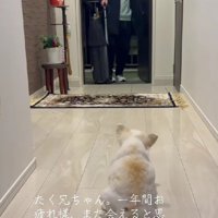 大好きなお兄ちゃん！