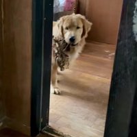 「こんなに素敵なのに…？」