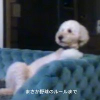 完全に休日のお父さん