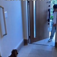 アムくんとお兄ちゃんの再会