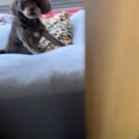 扉を開けた投稿者さん