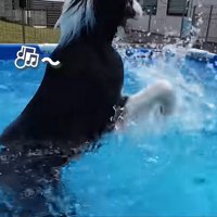 おしゃべりするコナくん