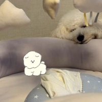 ハクちゃんはマイペース♪