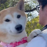 嬉しそう♪