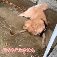 話、全然聞いてません