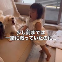 少し前は参戦していたそう