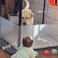 困惑