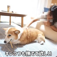 「でもナデナデはして♡」