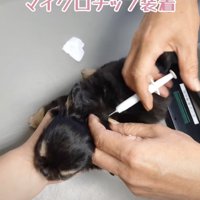 処置中もお利口さん