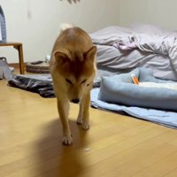 ！？
