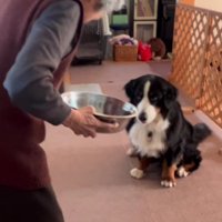 「欲しいんですか？」