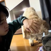 スマホに興味津々のはうるくん