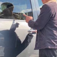 お父さんへのサプライズ