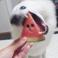 ギャップ