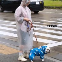 雨の日限定の光景です♪