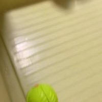 お風呂場に行ってみると…