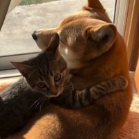 振り向くゆずくん