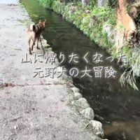 山へ遊びに行くと…