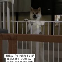 普通に叱られました