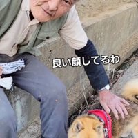必ず立ち止まって撫でてくれる