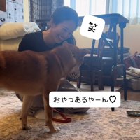 おやつを見つけた犬