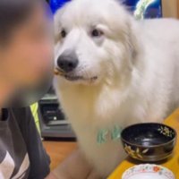 またまた盗られた！！