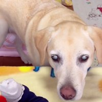 優しい表情にホッコリ