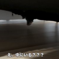 ソファの下に見える犬の足