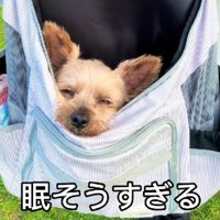 歩こうとしない！？