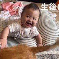 しっぽを振る犬のそばで笑顔になる赤ちゃん