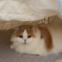 お気に召したようです♡